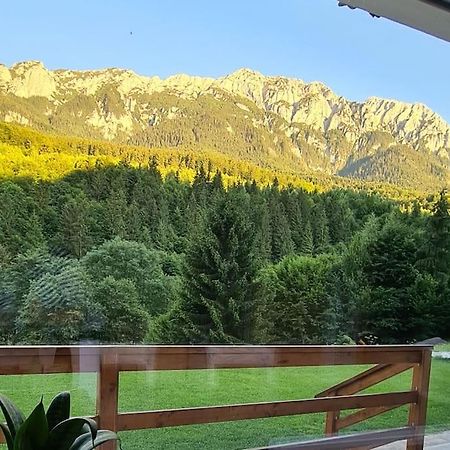 Pensiune Subcrai Cu Centru Spa Zărneşti Esterno foto